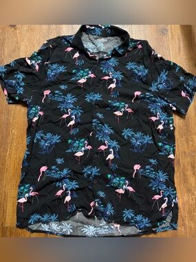 Hollister Button Down Shirt
